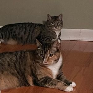 Meet your Posher, Janet